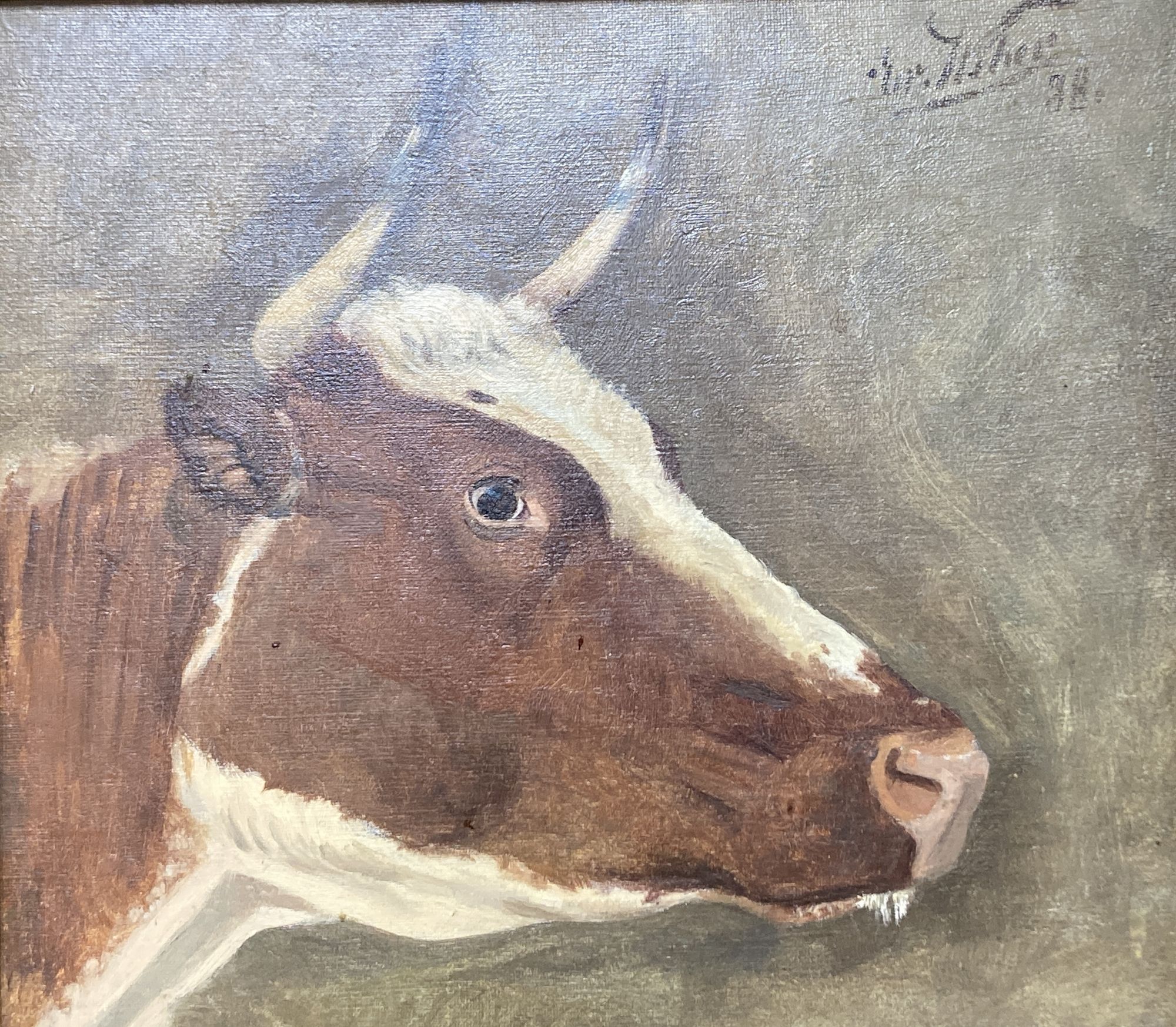 Continental School, oil on canvas, Study of a cows head, indistinctly signed and dated 88, 26 x 30cm